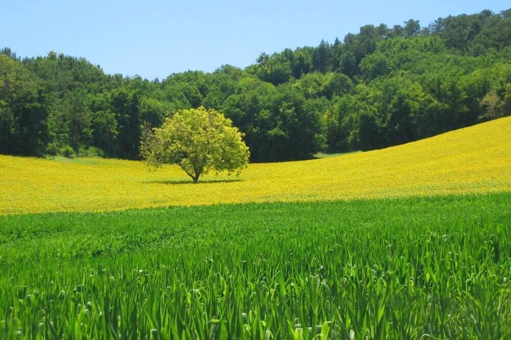 Photo of Outdoor in Palluaud