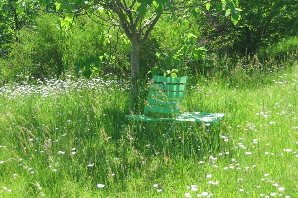 Photo of Outdoor in Palluaud