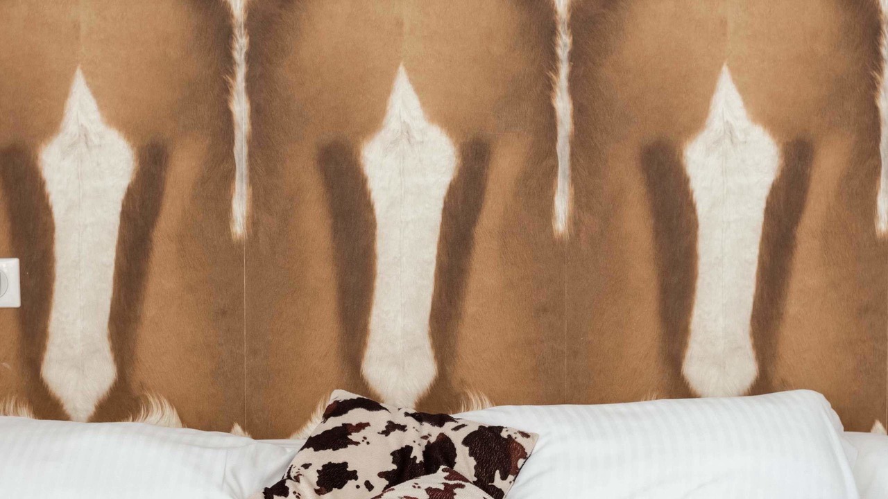 Photo of Bedroom in Rauzan