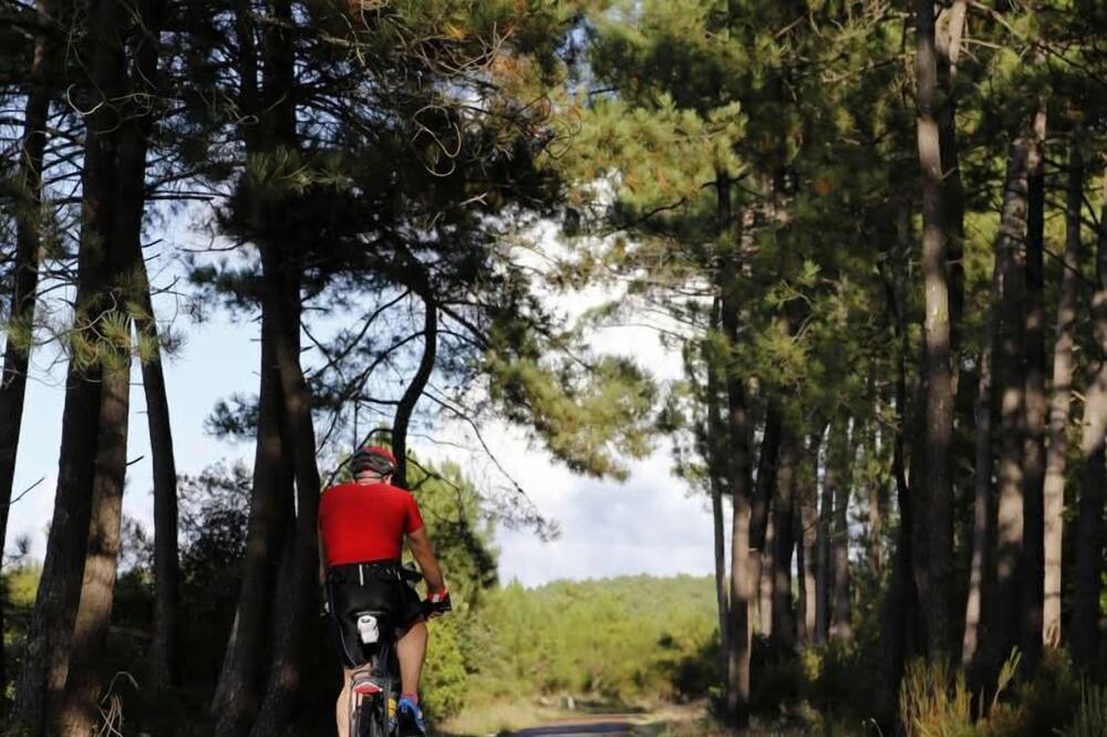 Photo of Others in Le Verdon-sur-Mer