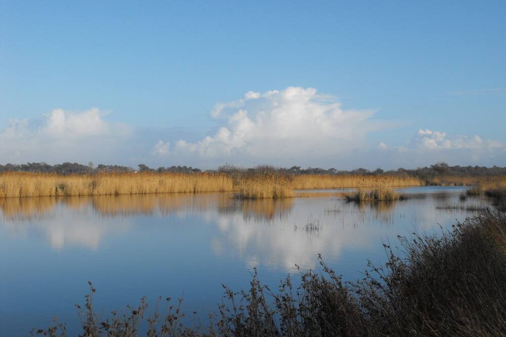 Photo of Outdoor in Le Verdon-sur-Mer