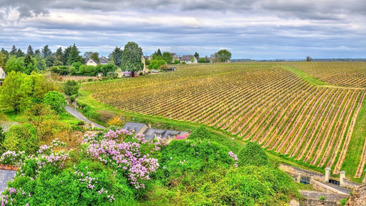 Photo of Outdoor in Moncontour