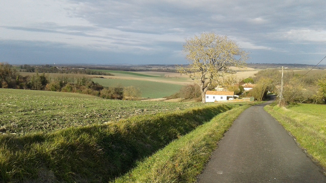 Photo of Outdoor in Sainte-Souline