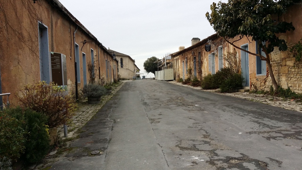 Photo of Others in Sainte-Souline