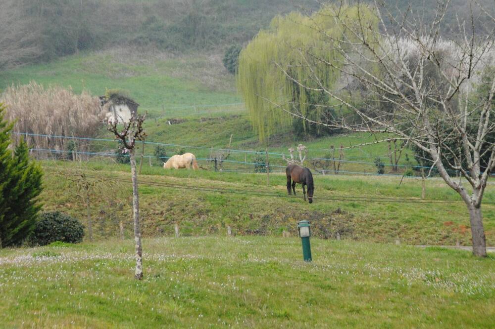 Photo of Outdoor in Mugron