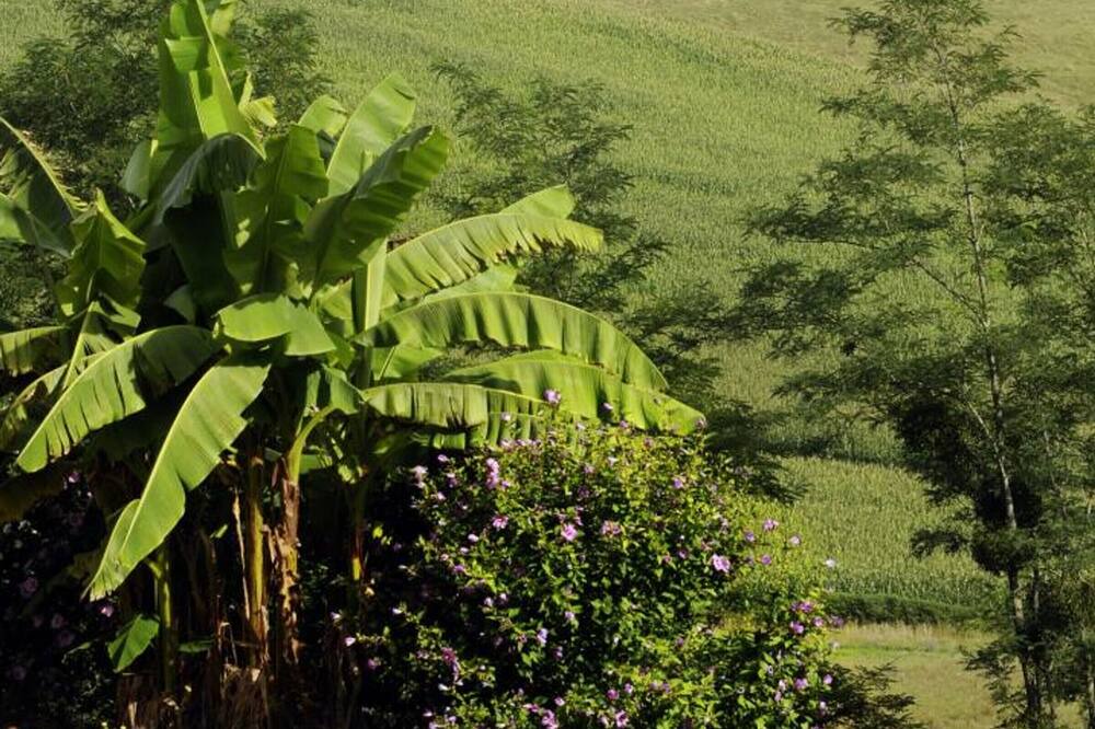 Photo of Outdoor in Mugron