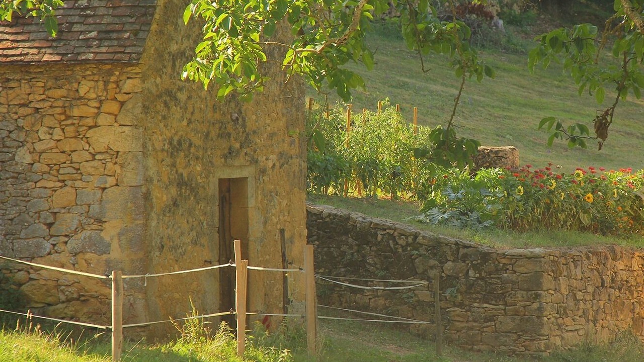 Photo of Outdoor in Beynac-et-Cazenac