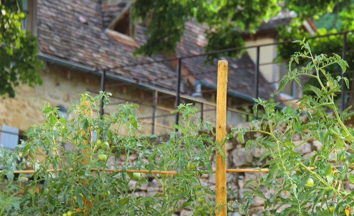 Photo of Outdoor in Beynac-et-Cazenac