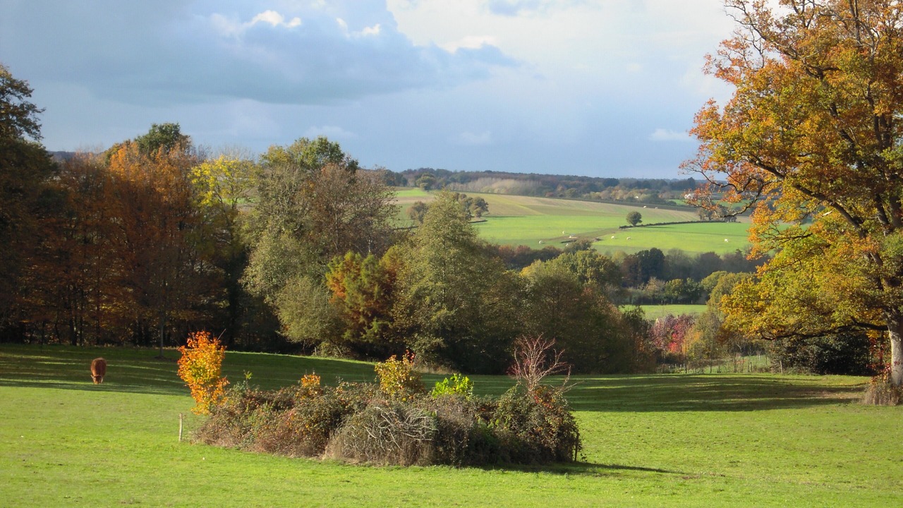 Photo of Outdoor in Le Pin