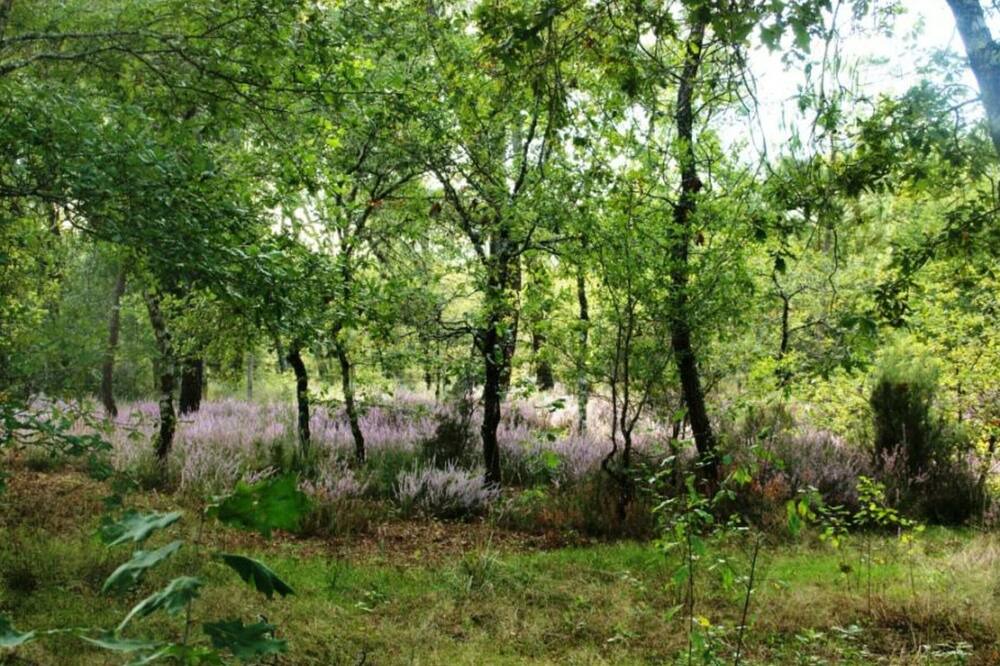Photo of Outdoor in Pissos