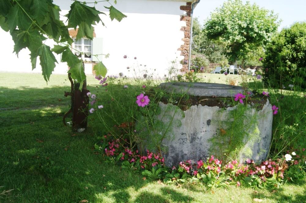 Photo of Outdoor in Pissos