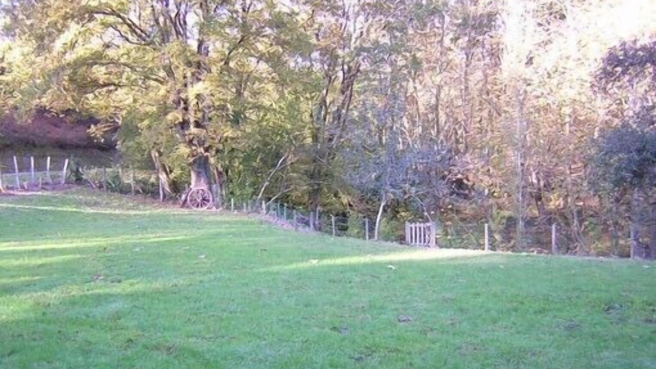 Photo of Outdoor in Espelette