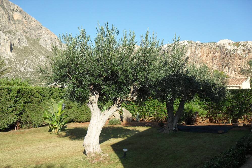 Photo of Outdoor in Cornino