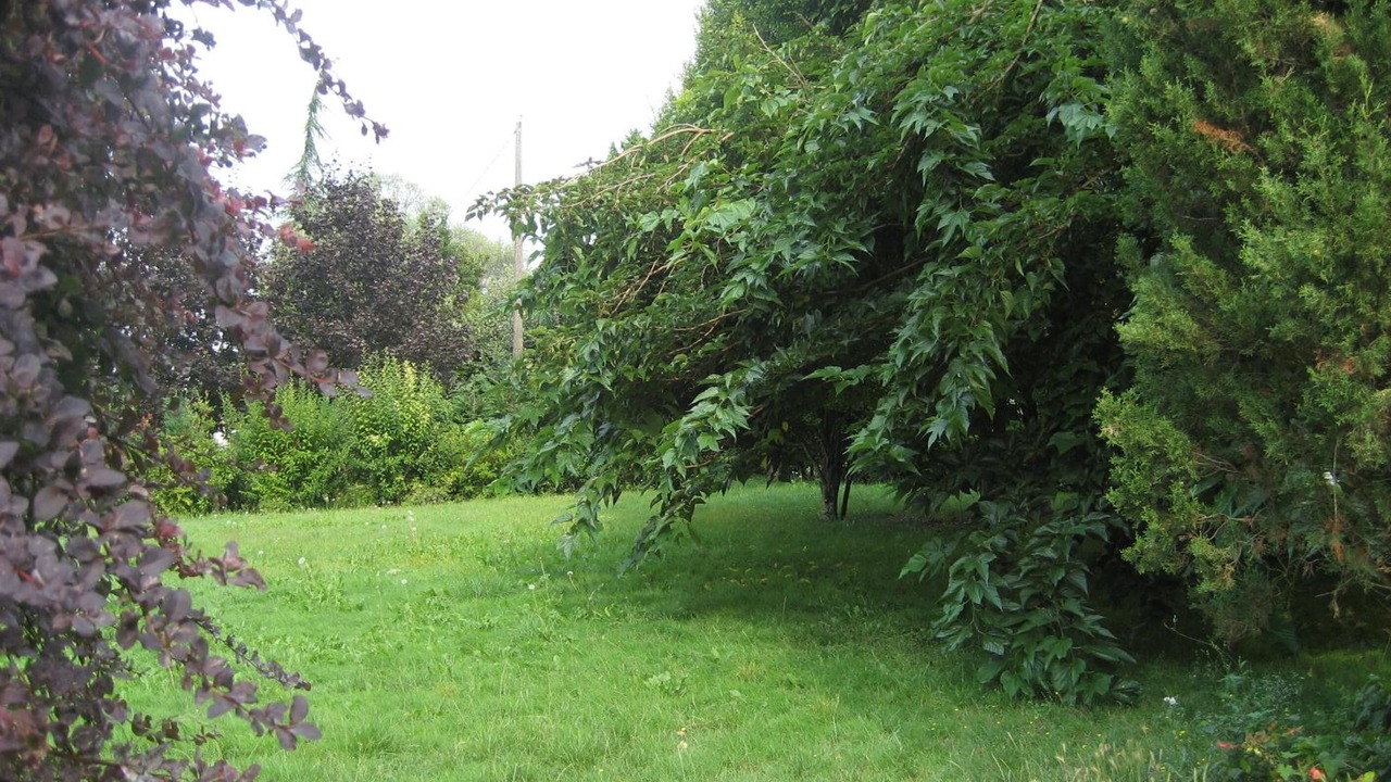 Photo of Outdoor in Barbezieux-Saint-Hilaire