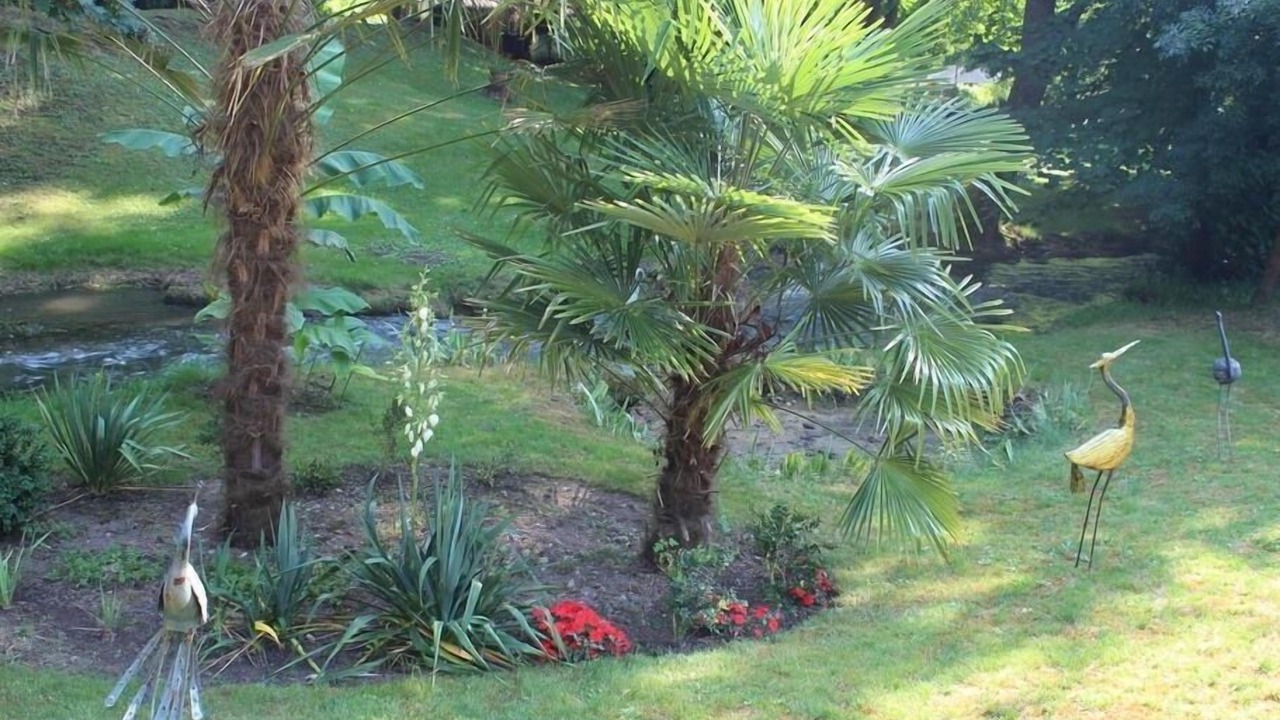 Photo of Outdoor in Les Eyzies