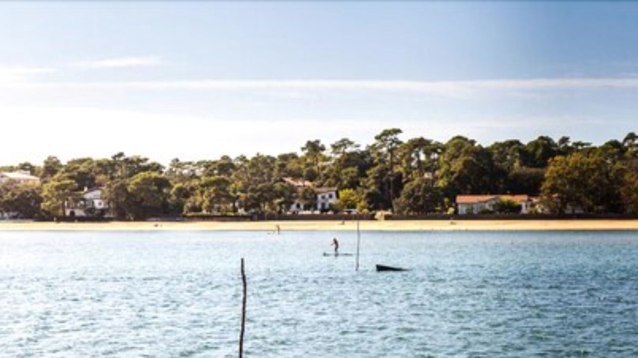 Photo of Others in Soorts-Hossegor