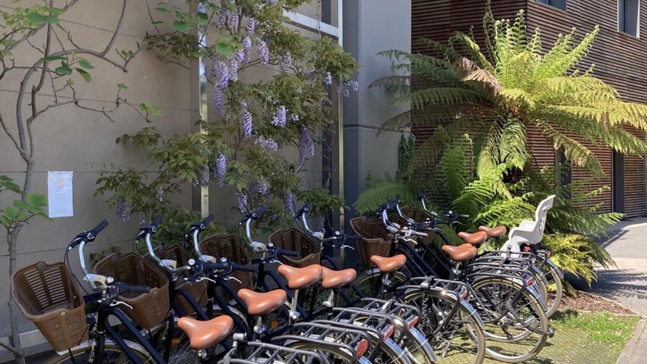 Photo of Outdoor in Soorts-Hossegor