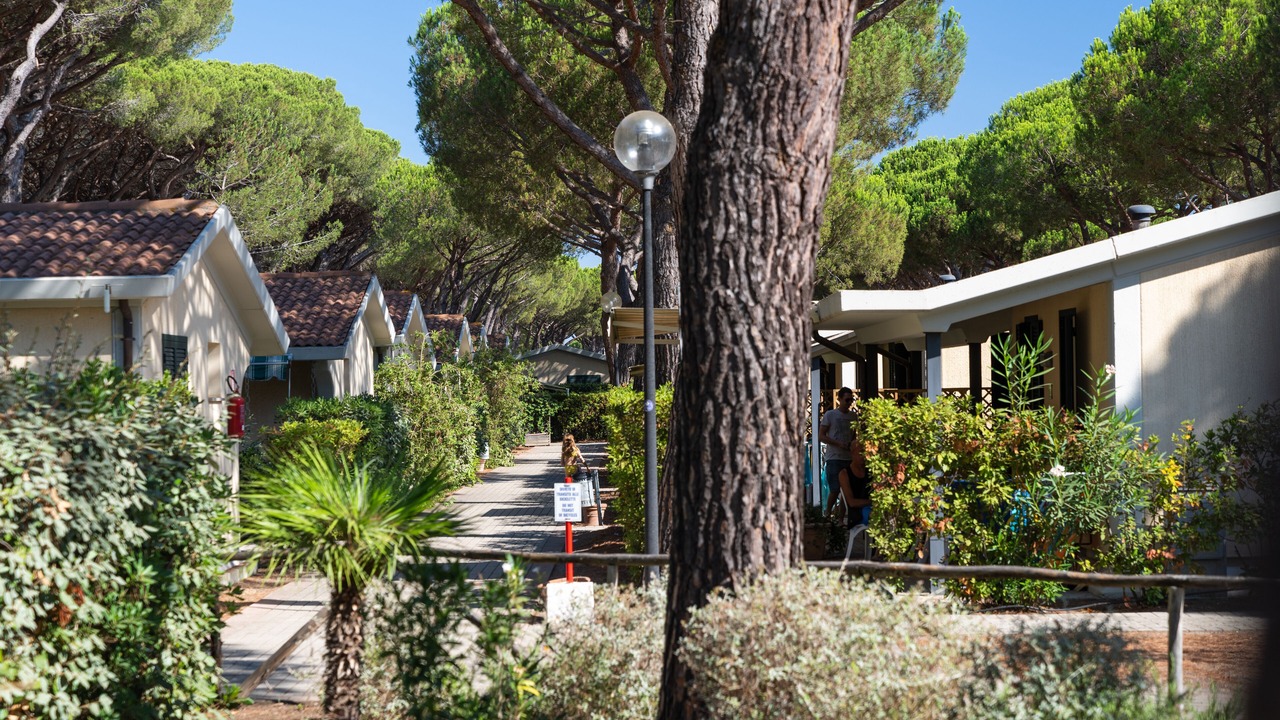 Photo of Others in Orbetello