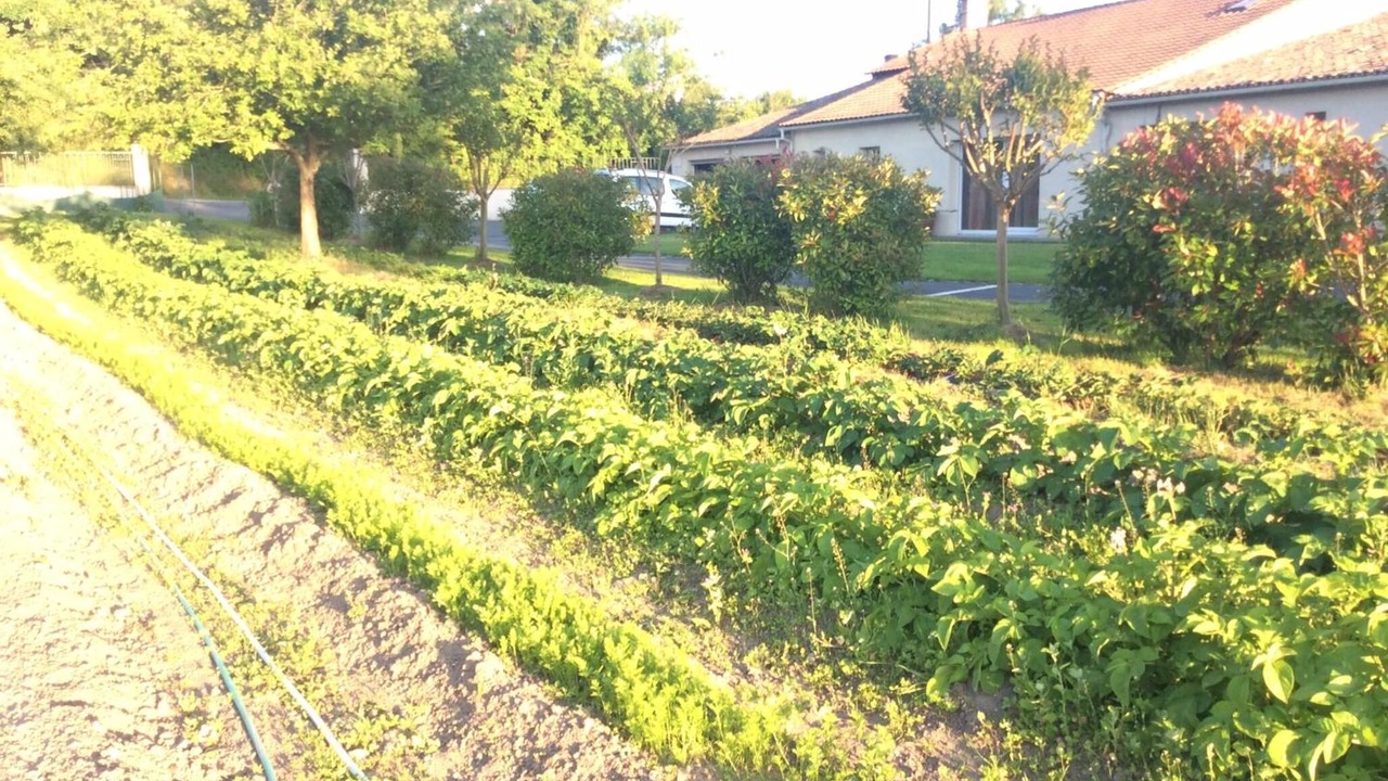 Photo of Outdoor in Laruscade