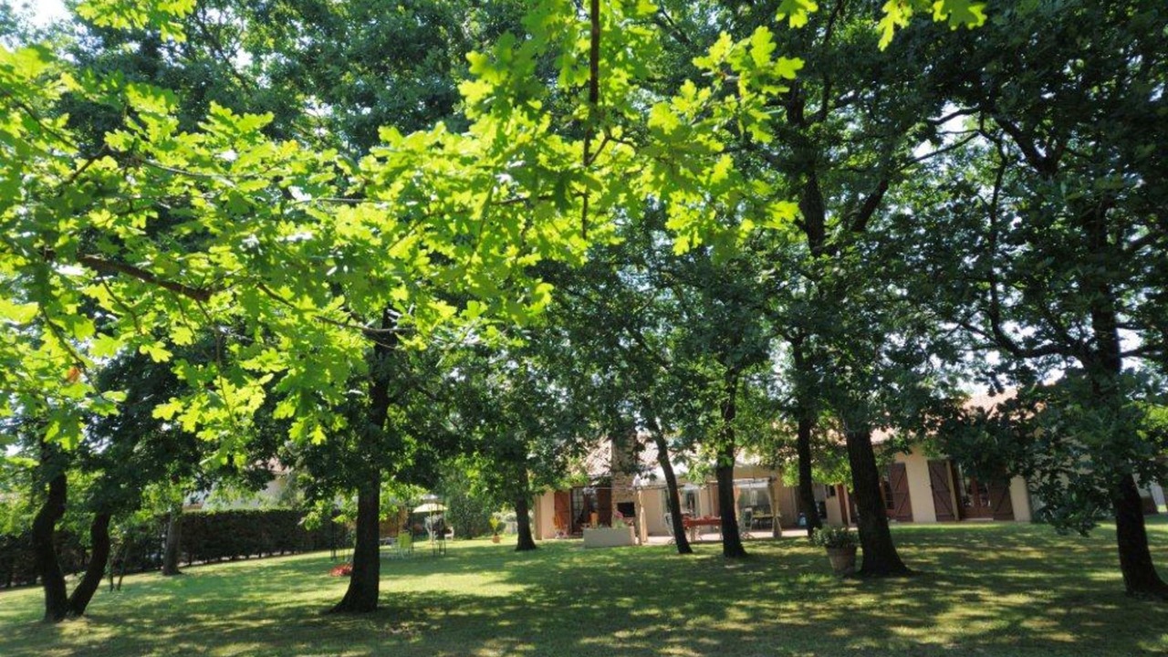 Photo of Outdoor in Gujan-Mestras