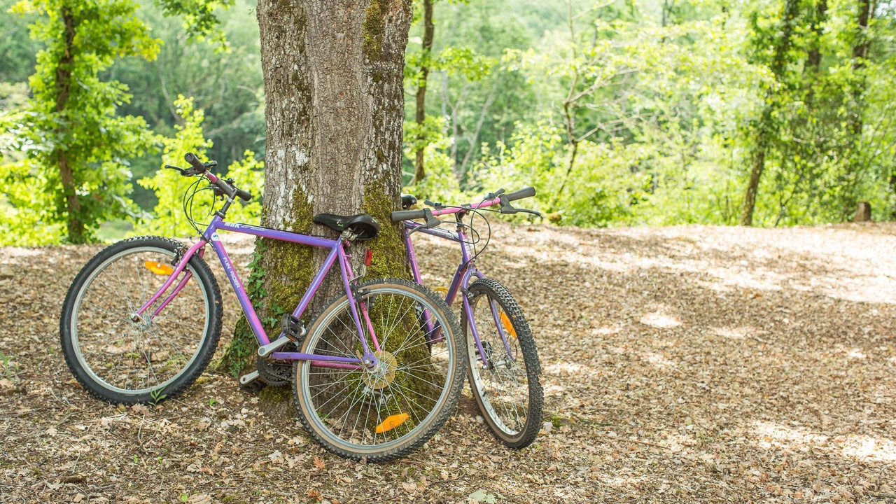 Photo of Outdoor in Blanquefort-sur-Briolance