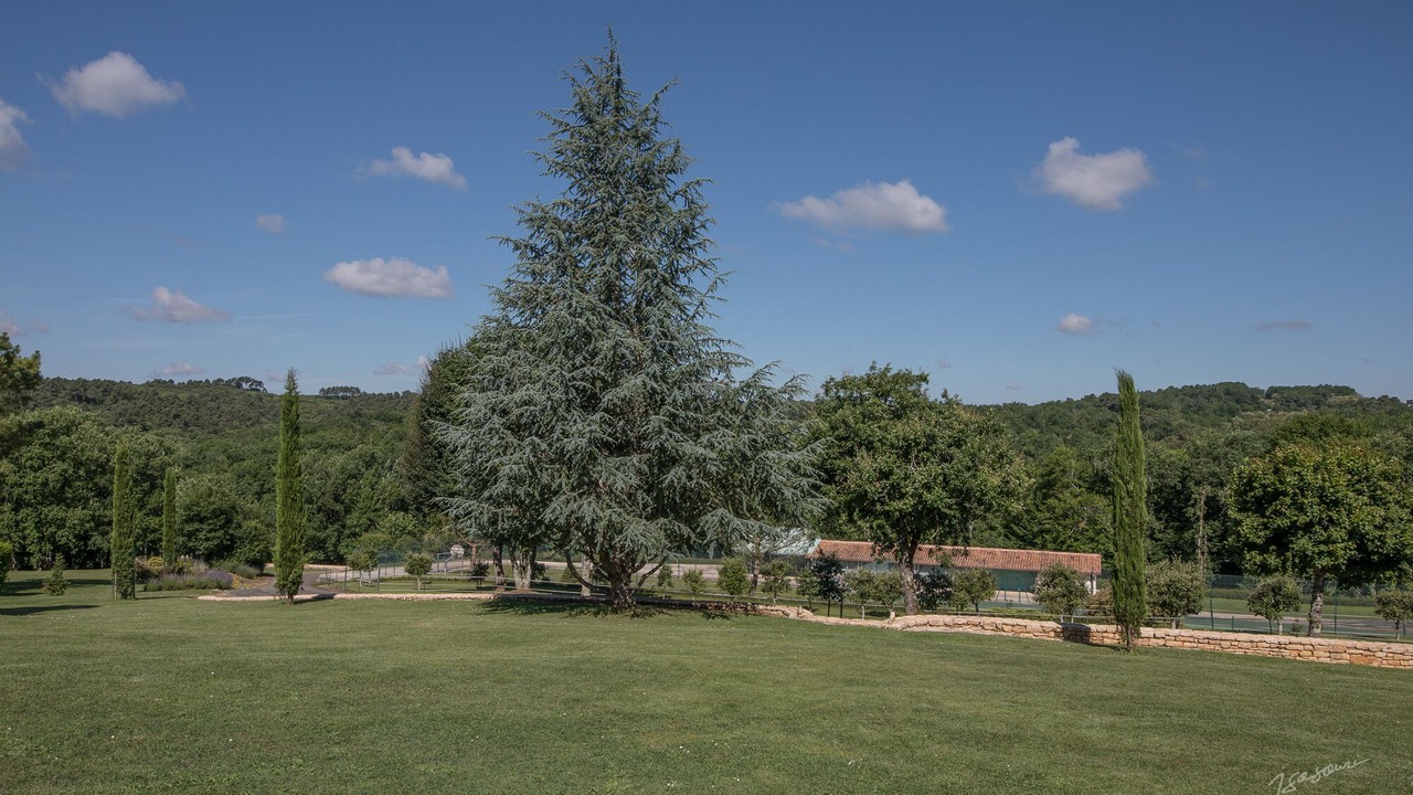 Photo of Outdoor in Blanquefort-sur-Briolance