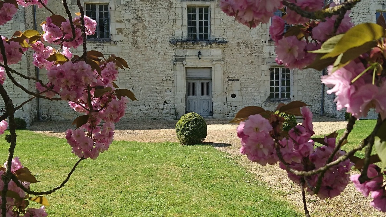 Photo of Outdoor in Monts-sur-Guesnes