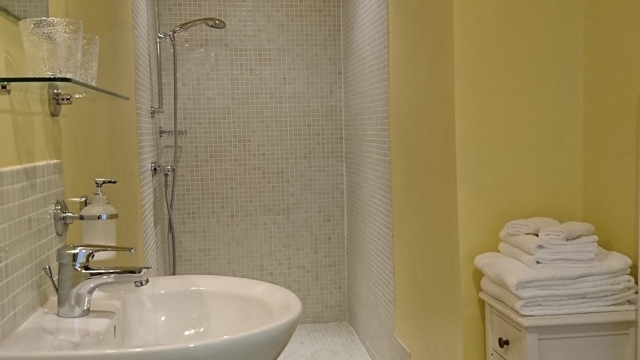 Photo of Bathroom in Monts-sur-Guesnes