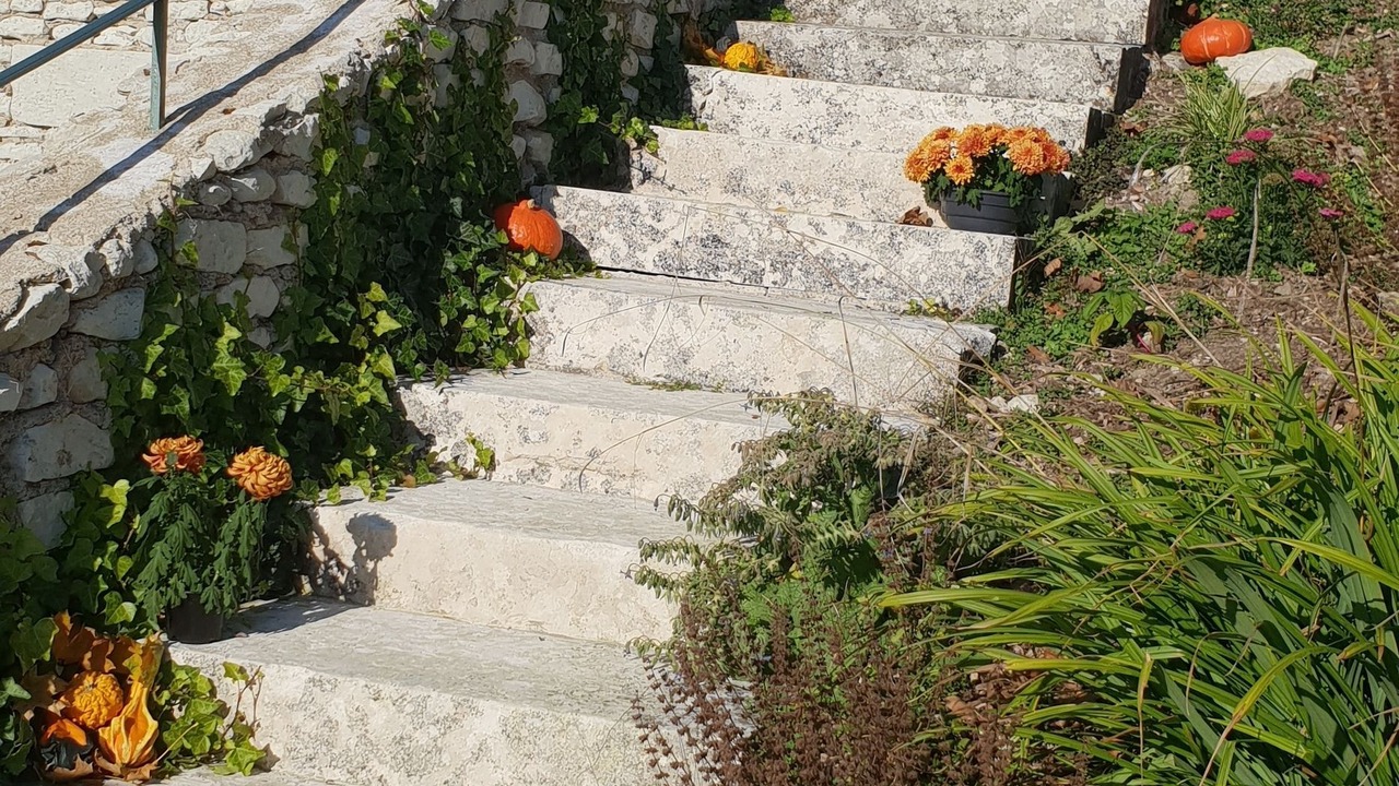 Photo of Outdoor in Monts-sur-Guesnes