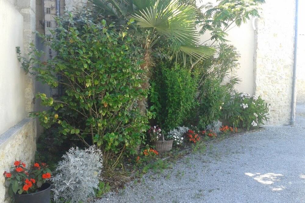 Photo of Outdoor in Queyrac