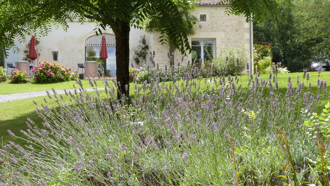 Photo of Outdoor in Fontcouverte