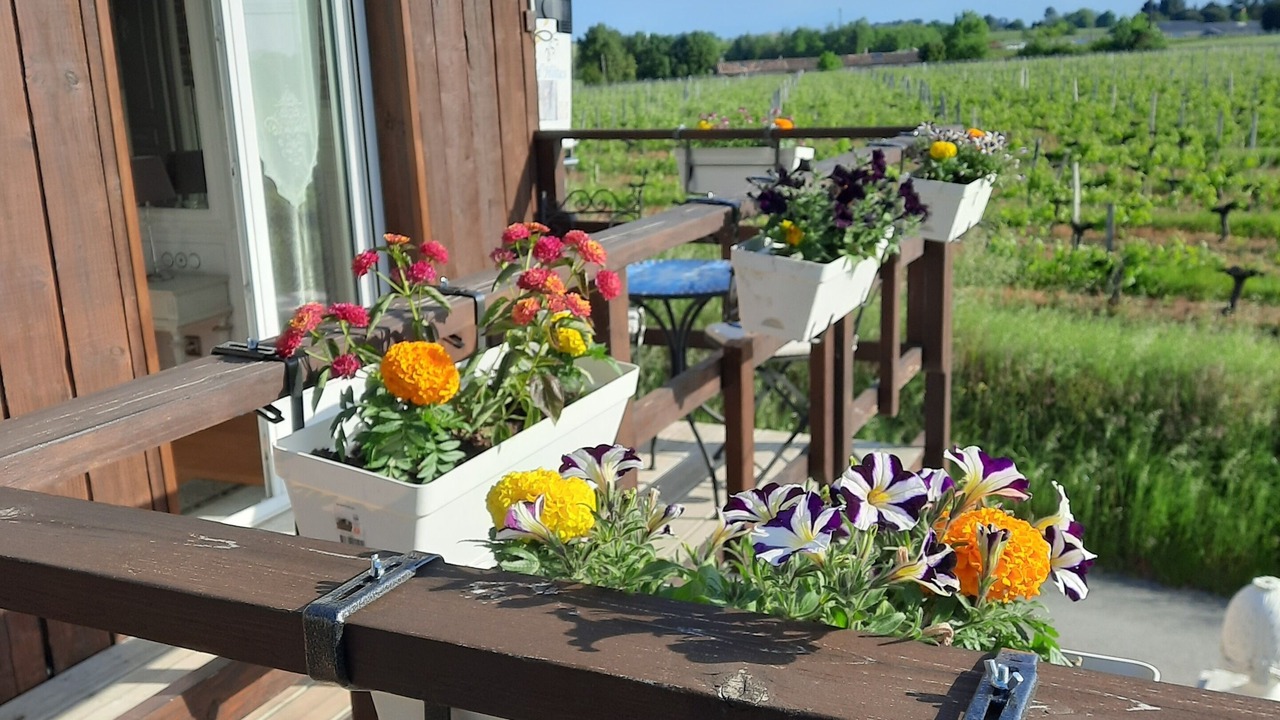 Photo of Outdoor in Saint-Ciers-de-Canesse