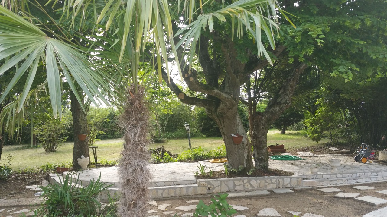 Photo of Patio Balcony in Saint-Ciers-de-Canesse