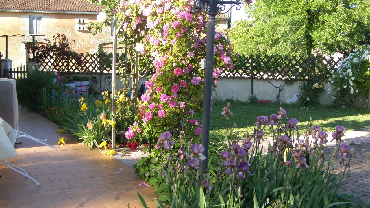 Photo of Outdoor in Saint-Paul