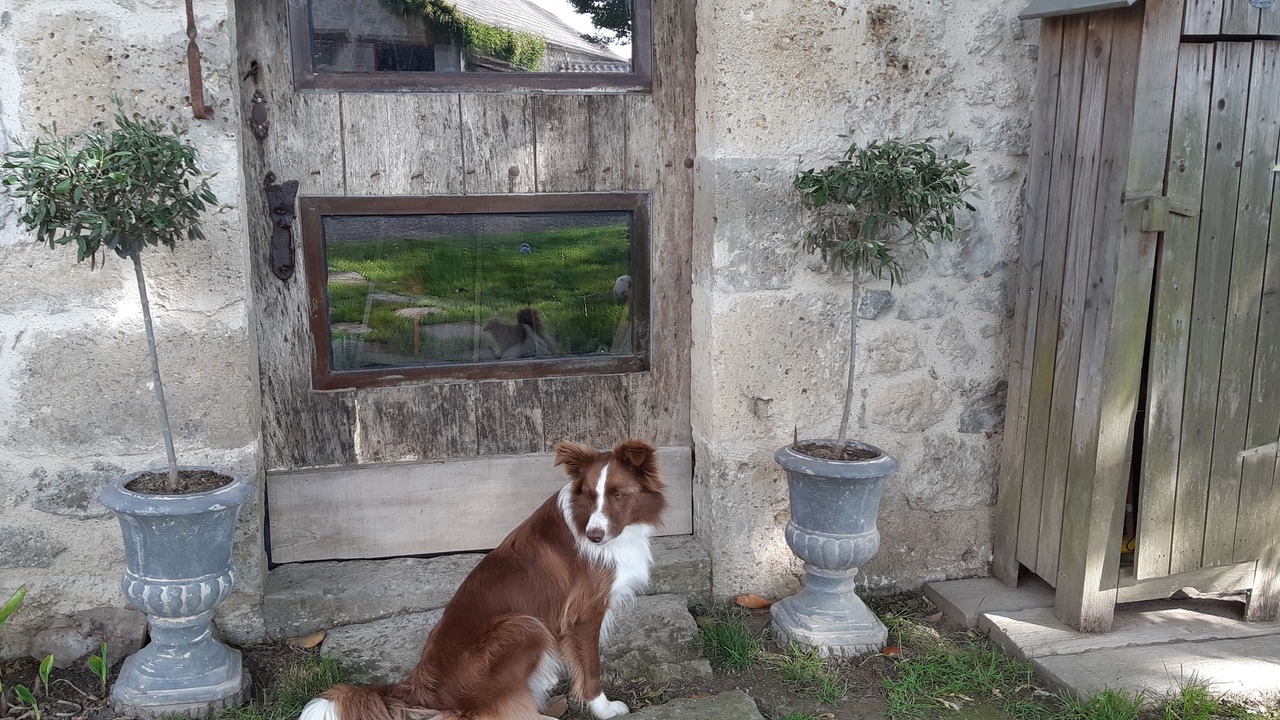 Photo of Outdoor in Lusignan-Petit