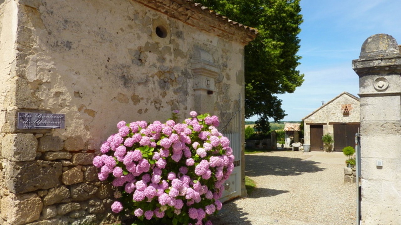 Photo of Outdoor in Lusignan-Petit