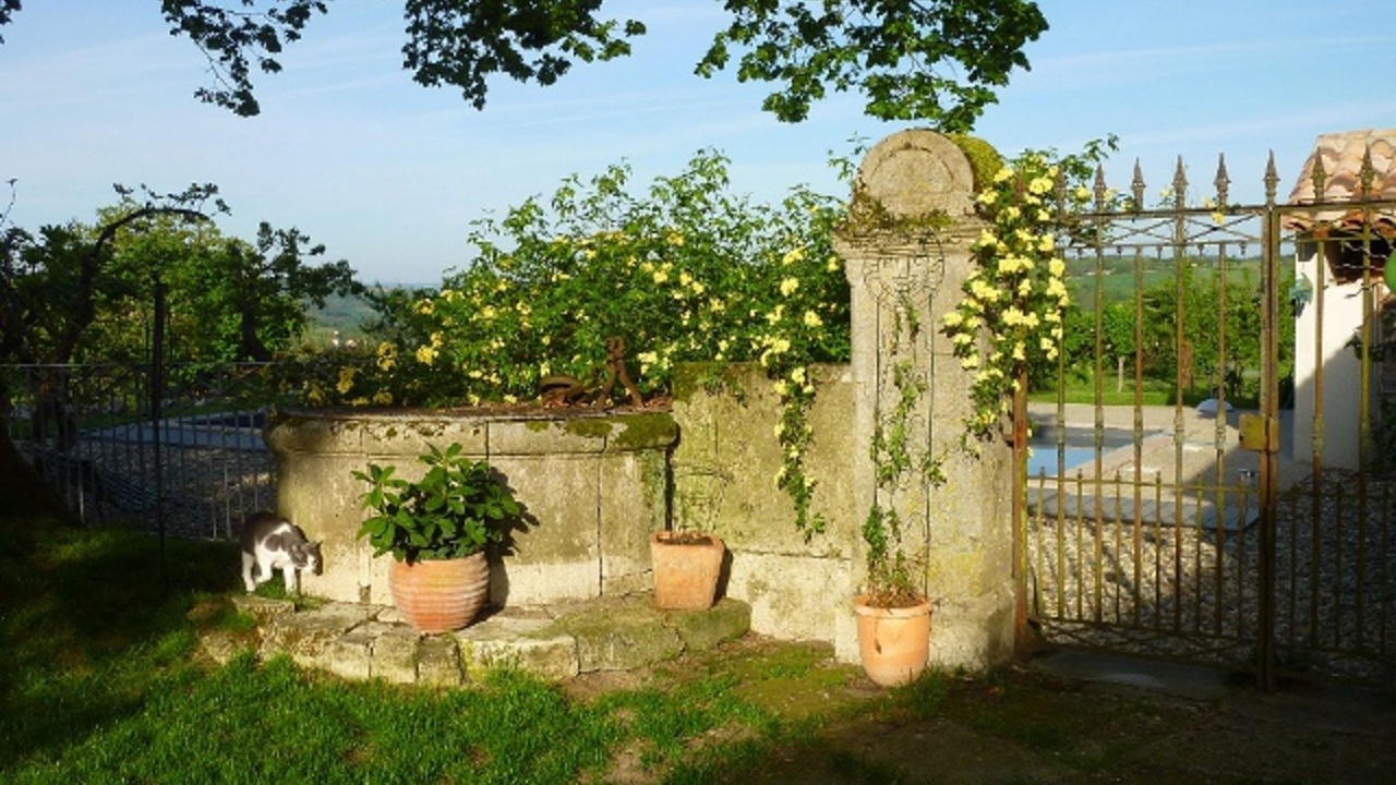 Photo of Outdoor in Lusignan-Petit
