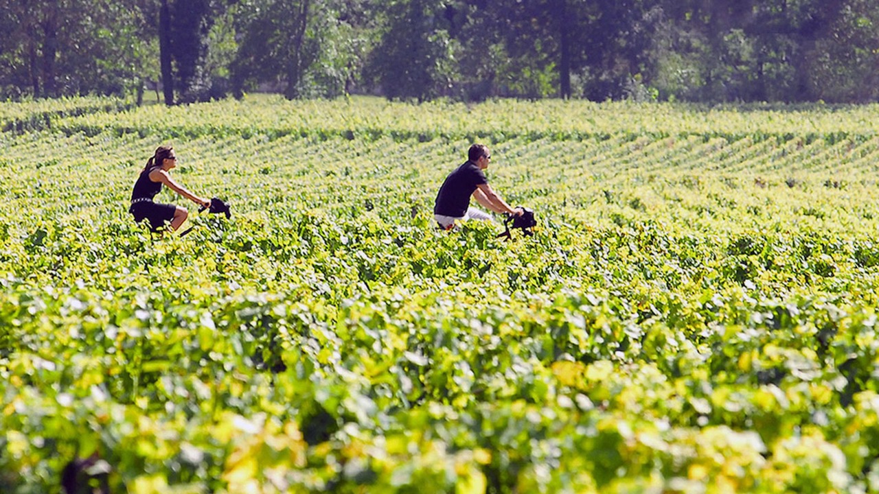Photo of Outdoor in Saint-Michel-de-Fronsac