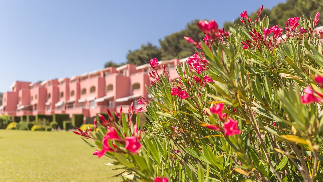 Photo of Outdoor in Saint-Mandrier-sur-Mer
