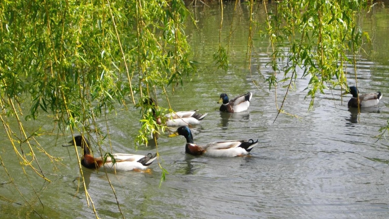 Photo of Outdoor in Eyrans