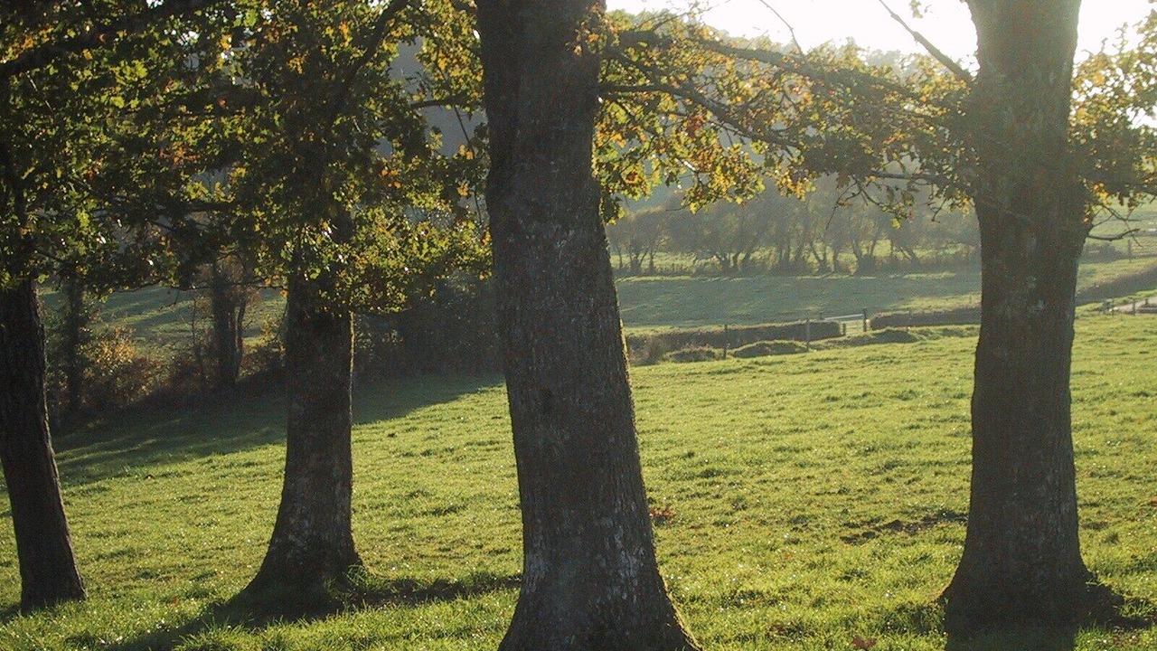 Photo of Outdoor in Montaigut-le-Blanc