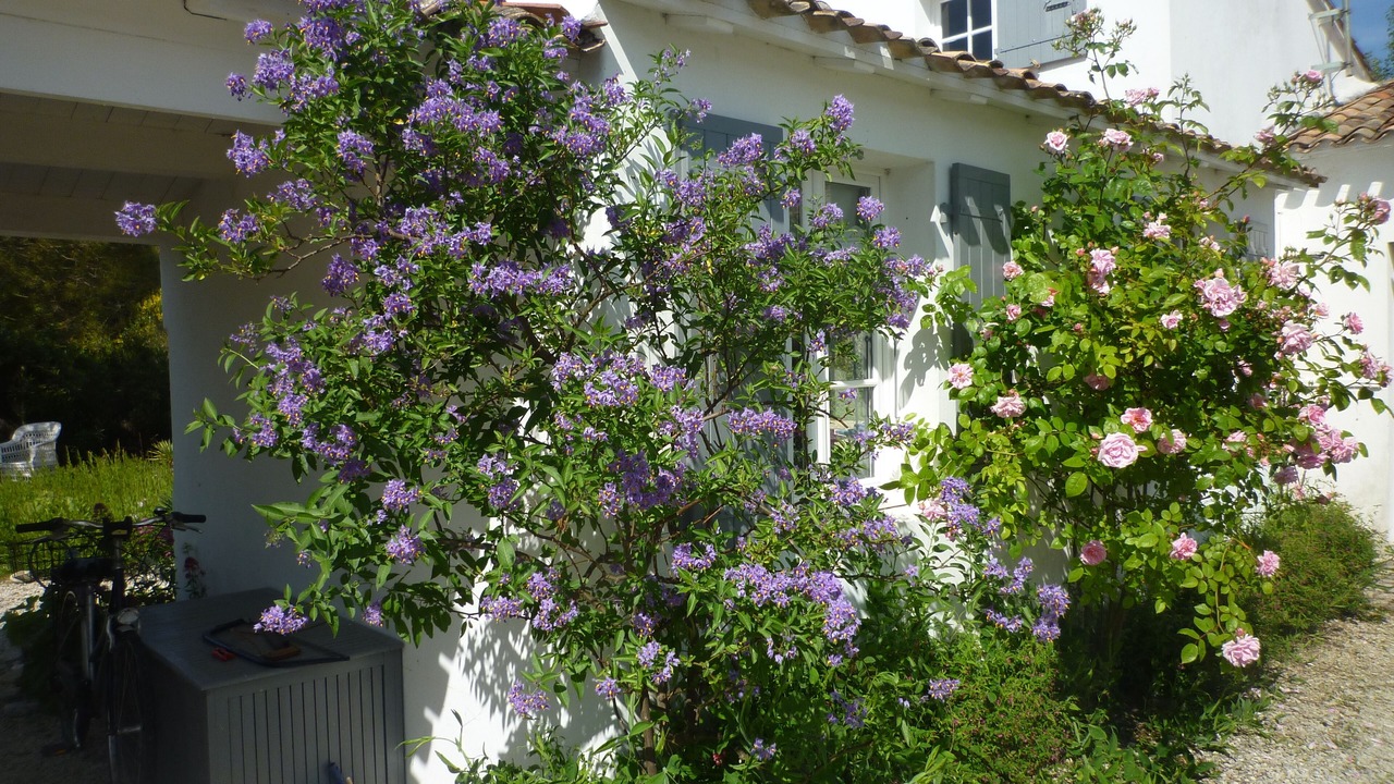Photo of Outdoor in Ars-en-Re
