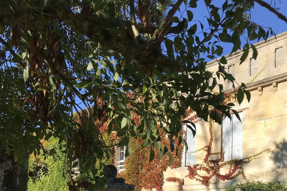 Photo of Outdoor in Bourg-sur-Gironde