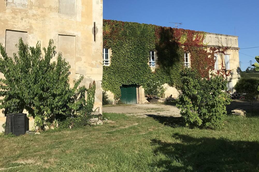 Photo of Outdoor in Bourg-sur-Gironde