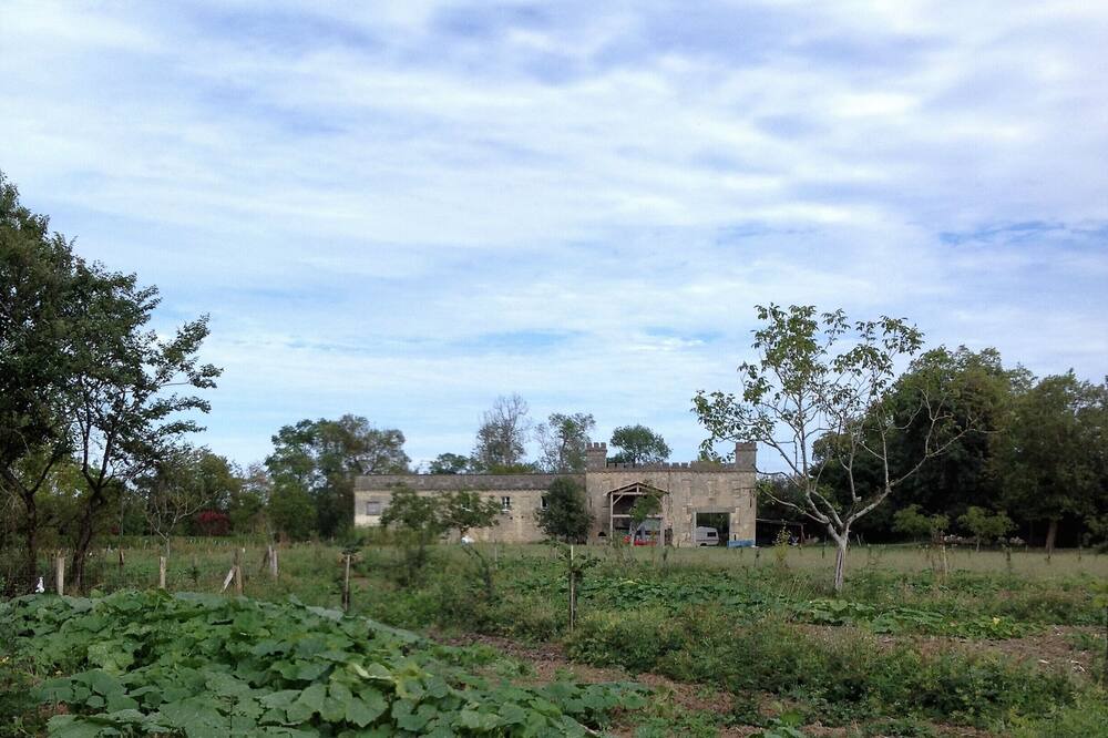 Photo of Outdoor in Bourg-sur-Gironde