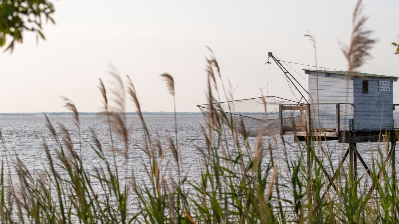 Photo of Outdoor in Saint-Estephe