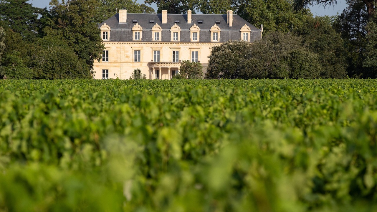 Photo of Outdoor in Saint-Estephe