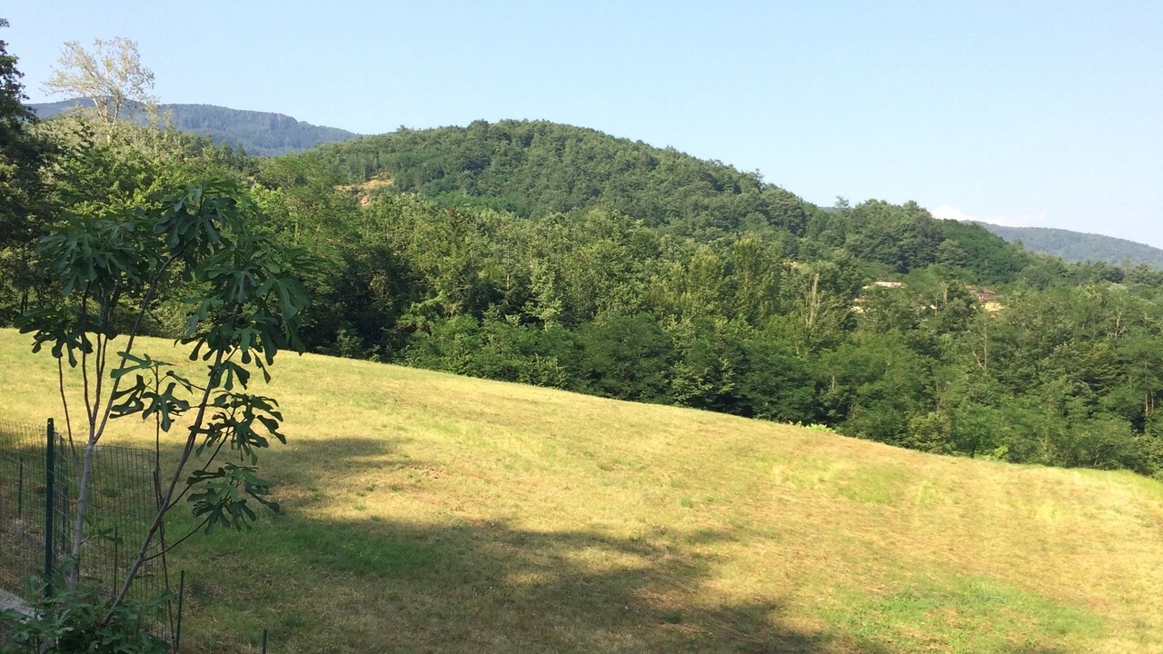 Photo of Others in Bardalone