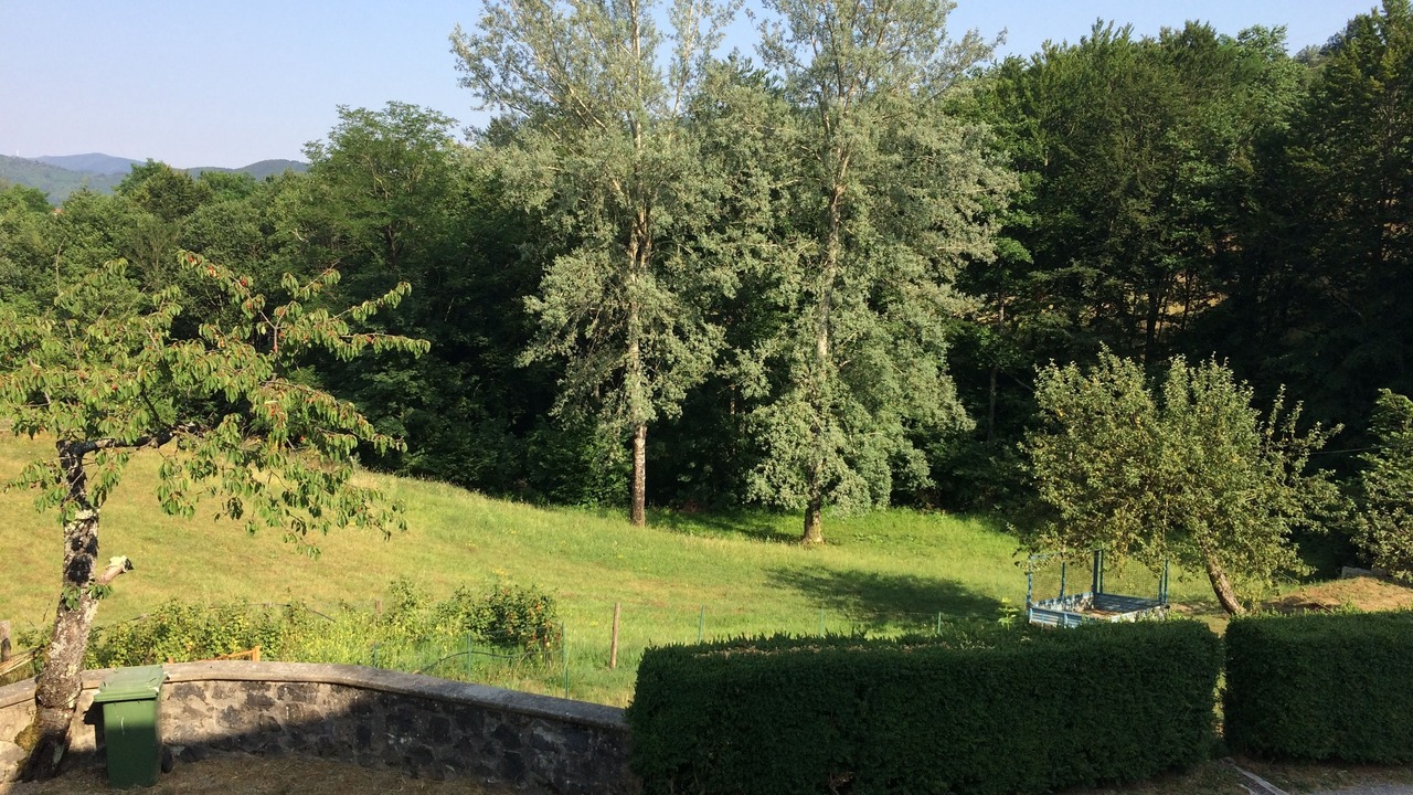 Photo of Others in Bardalone