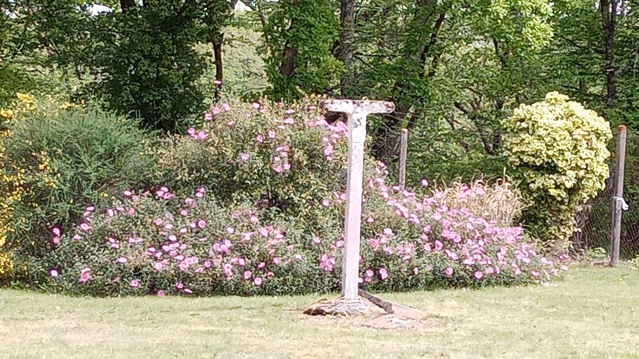 Photo of Outdoor in Feugarolles
